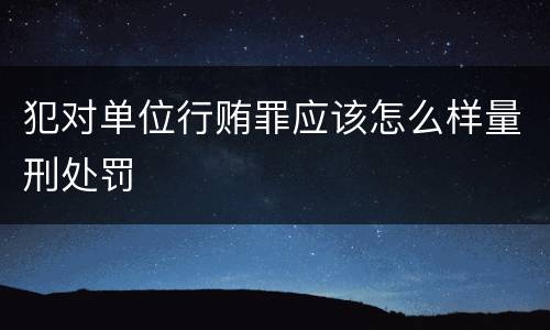 犯对单位行贿罪应该怎么样量刑处罚