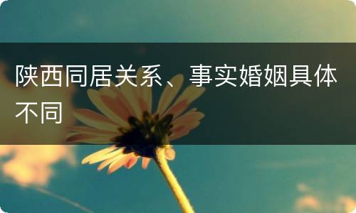 陕西同居关系、事实婚姻具体不同