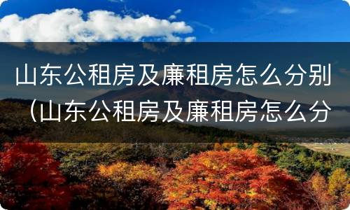 山东公租房及廉租房怎么分别（山东公租房及廉租房怎么分别的）
