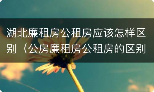 湖北廉租房公租房应该怎样区别（公房廉租房公租房的区别）
