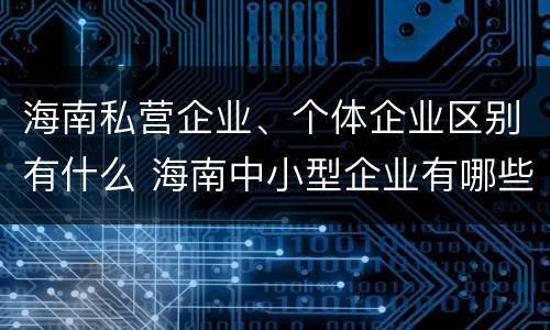 海南私营企业、个体企业区别有什么 海南中小型企业有哪些公司