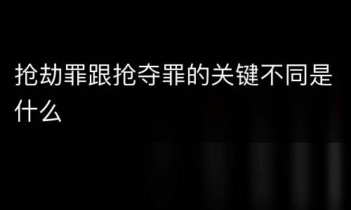 抢劫罪跟抢夺罪的关键不同是什么
