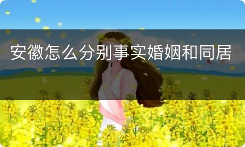 安徽怎么分别事实婚姻和同居