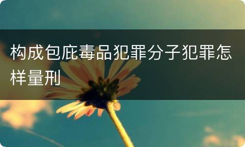 构成包庇毒品犯罪分子犯罪怎样量刑