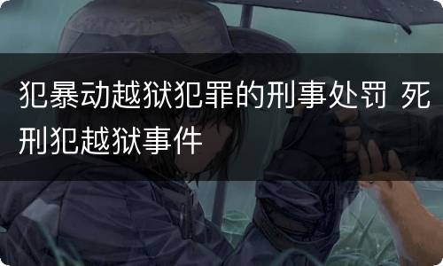 犯暴动越狱犯罪的刑事处罚 死刑犯越狱事件