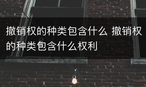 撤销权的种类包含什么 撤销权的种类包含什么权利