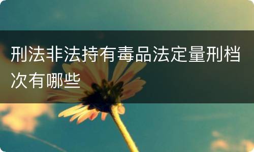 刑法非法持有毒品法定量刑档次有哪些