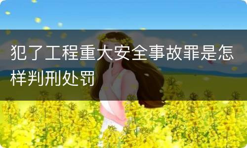 犯了工程重大安全事故罪是怎样判刑处罚