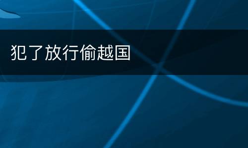 犯了放行偷越国
