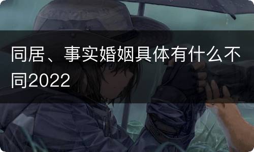 同居、事实婚姻具体有什么不同2022