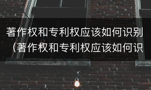 著作权和专利权应该如何识别（著作权和专利权应该如何识别出来）