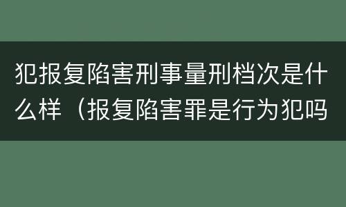 犯报复陷害刑事量刑档次是什么样（报复陷害罪是行为犯吗）