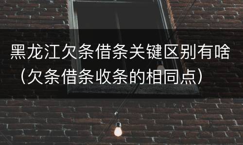 黑龙江欠条借条关键区别有啥（欠条借条收条的相同点）