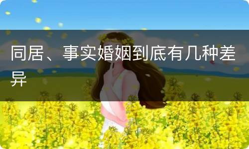 同居、事实婚姻到底有几种差异