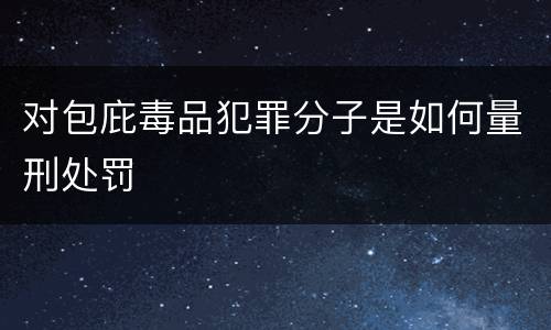 对包庇毒品犯罪分子是如何量刑处罚