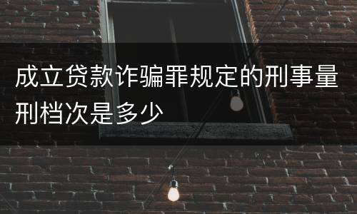 成立贷款诈骗罪规定的刑事量刑档次是多少