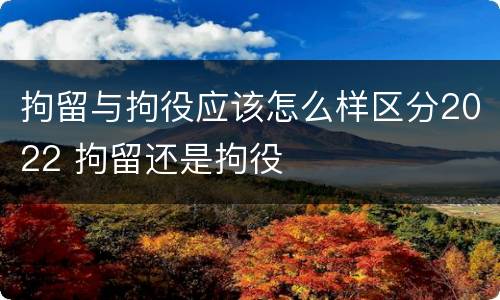 拘留与拘役应该怎么样区分2022 拘留还是拘役