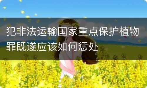 犯非法运输国家重点保护植物罪既遂应该如何惩处