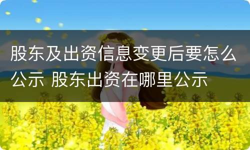 股东及出资信息变更后要怎么公示 股东出资在哪里公示