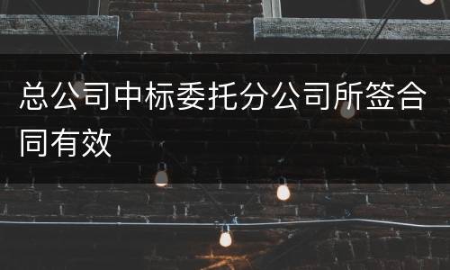 总公司中标委托分公司所签合同有效