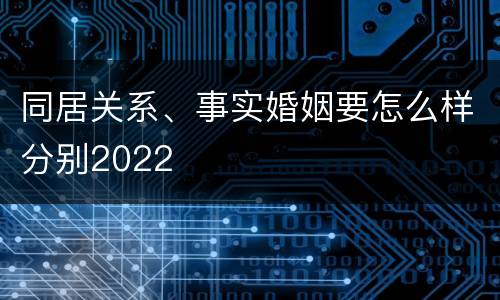 同居关系、事实婚姻要怎么样分别2022