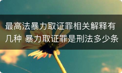 最高法暴力取证罪相关解释有几种 暴力取证罪是刑法多少条