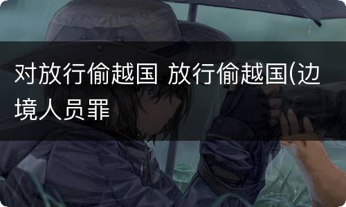 对放行偷越国 放行偷越国(边境人员罪