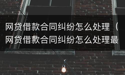 网贷借款合同纠纷怎么处理（网贷借款合同纠纷怎么处理最好）