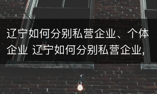 辽宁如何分别私营企业、个体企业 辽宁如何分别私营企业,个体企业和公司