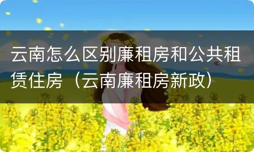 云南怎么区别廉租房和公共租赁住房（云南廉租房新政）