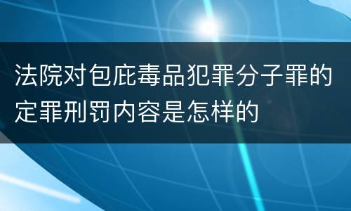 法院对包庇毒品犯罪分子罪的定罪刑罚内容是怎样的