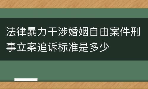 法律暴力干涉婚姻自由案件刑事立案追诉标准是多少