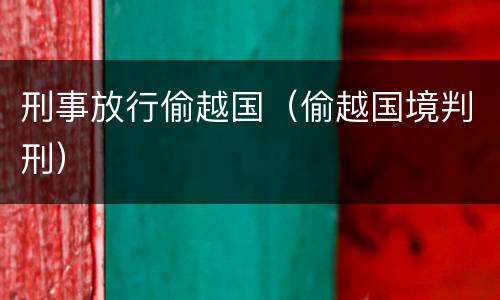 刑事放行偷越国（偷越国境判刑）