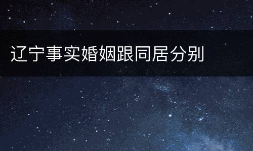 辽宁事实婚姻跟同居分别