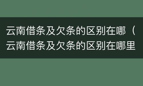 云南借条及欠条的区别在哪（云南借条及欠条的区别在哪里）