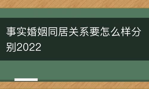 事实婚姻同居关系要怎么样分别2022