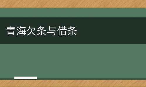 青海欠条与借条