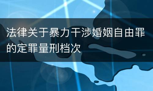 法律关于暴力干涉婚姻自由罪的定罪量刑档次