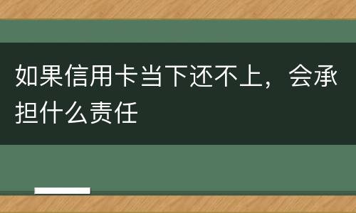 如果信用卡当下还不上，会承担什么责任