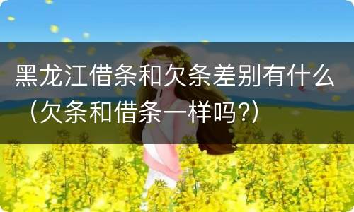 黑龙江借条和欠条差别有什么（欠条和借条一样吗?）
