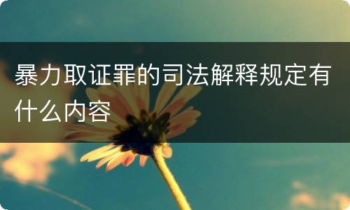 暴力取证罪的司法解释规定有什么内容