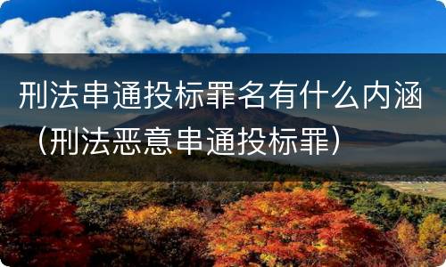 刑法串通投标罪名有什么内涵（刑法恶意串通投标罪）