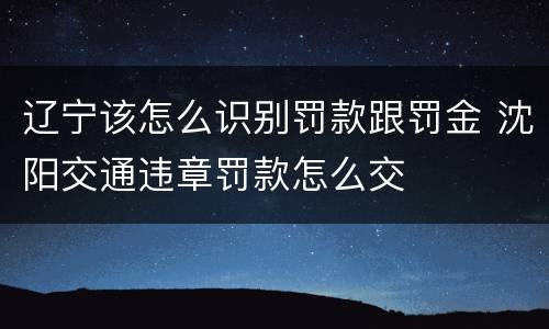 辽宁该怎么识别罚款跟罚金 沈阳交通违章罚款怎么交