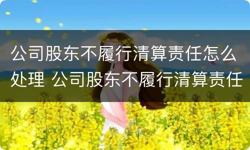 公司股东不履行清算责任怎么处理 公司股东不履行清算责任怎么处理呢