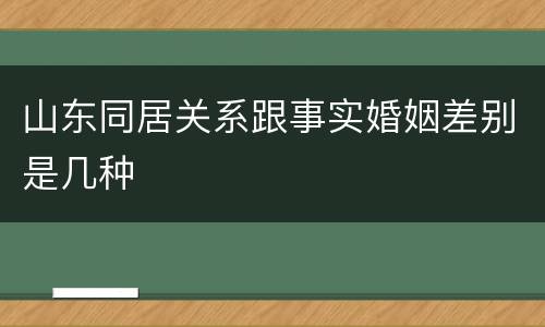 山东同居关系跟事实婚姻差别是几种