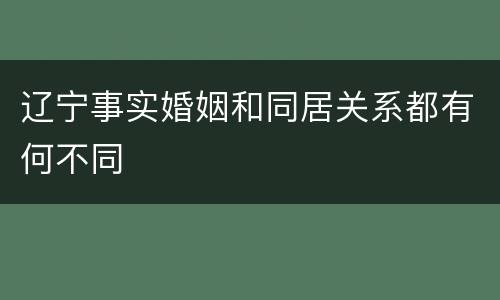 辽宁事实婚姻和同居关系都有何不同
