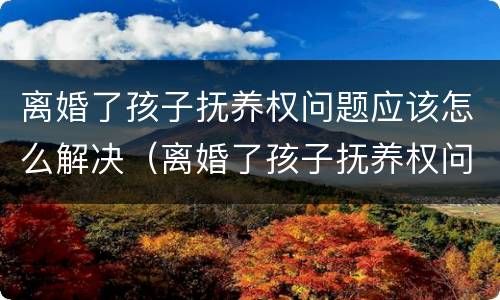 离婚了孩子抚养权问题应该怎么解决（离婚了孩子抚养权问题应该怎么解决呢）