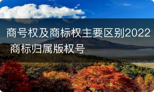 商号权及商标权主要区别2022 商标归属版权号