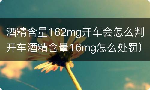 酒精含量162mg开车会怎么判（开车酒精含量16mg怎么处罚）