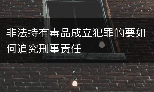 非法持有毒品成立犯罪的要如何追究刑事责任